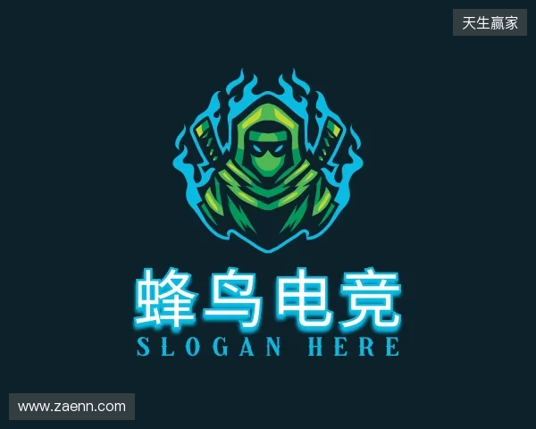 了解蜂鸟电竞